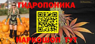 хмурый Славгород