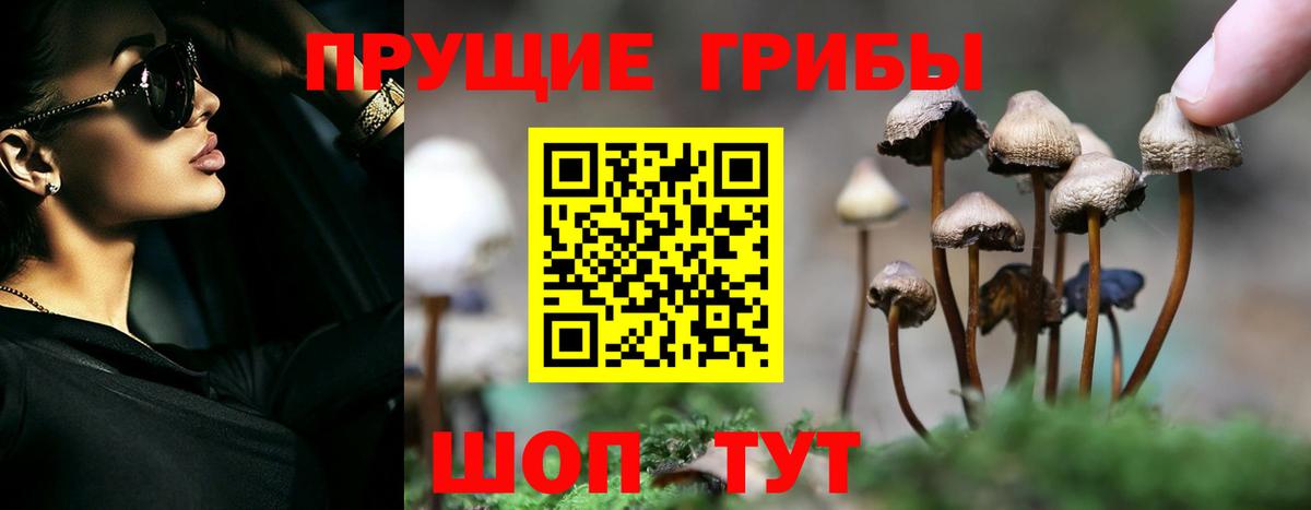 Псилоцибиновые грибы GOLDEN TEACHER Асбест